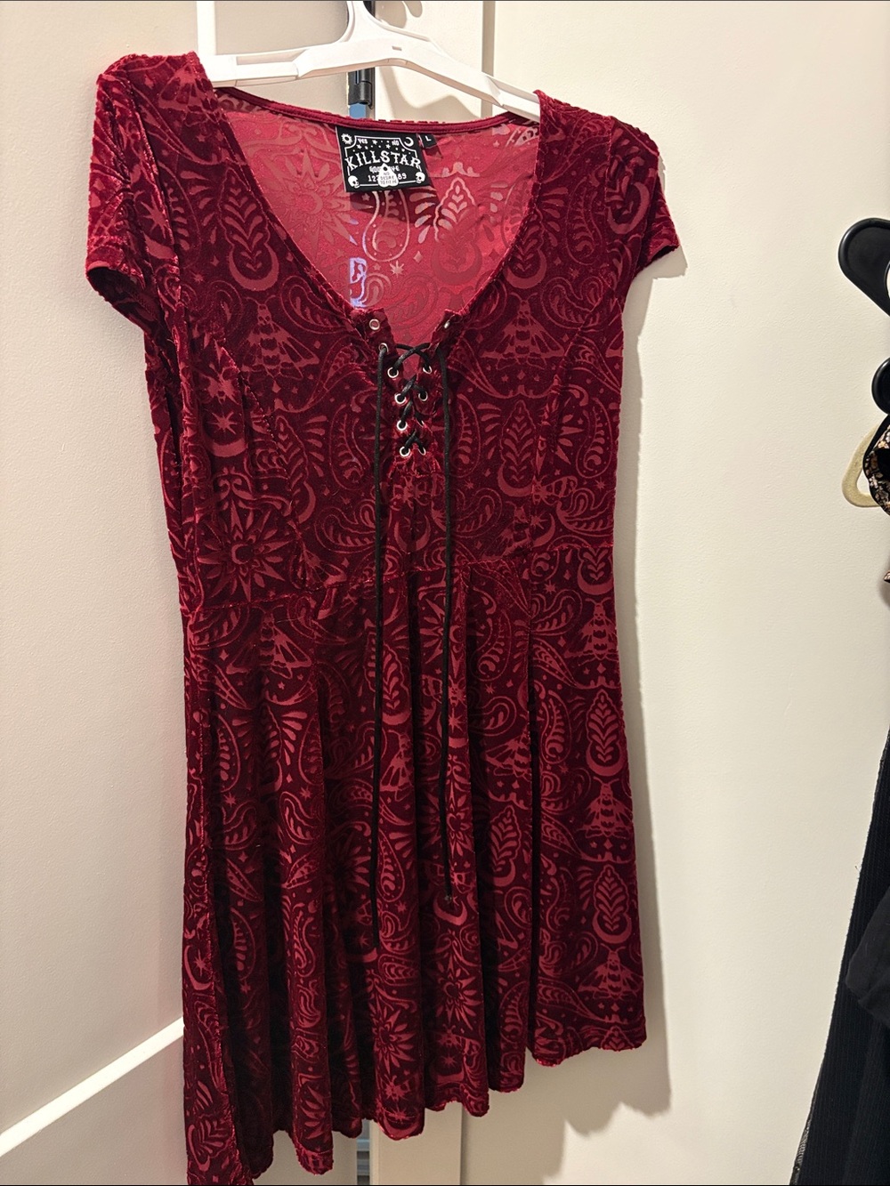 Angelyn Burn Out Velvet Dress